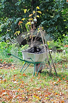 Wheelbarrow full of boxes and gardening tools