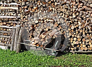 Wheelbarrow full of chopped wood logs near a large pile of firewood