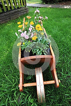 Wheelbarrow full of colorful flowers