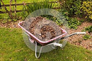 Wheelbarrow full of compost