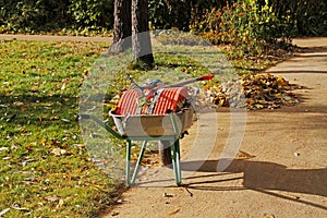 Wheelbarrow full of leaves and gardening tools