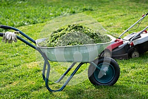 Wheelbarrow full of trimmed grass and a lawn mower standing on the mowed lawn