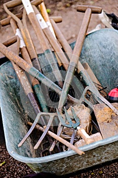 Wheelbarrow with garden tools