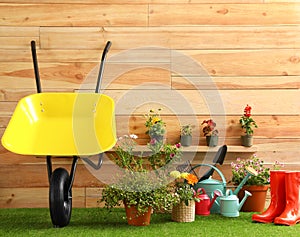 Wheelbarrow with gardening tools and flowers near wall