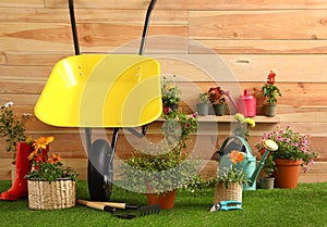 Wheelbarrow with gardening tools and flowers near wooden