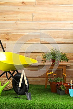 Wheelbarrow with gardening  and flowers near wooden wall. Space for text