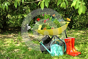 Wheelbarrow with gardening tools and on grass outside. Space for text