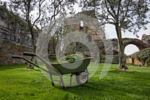 Wheelbarrow of grass clippings in a garden