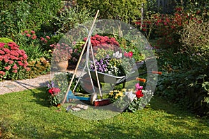 Wheelbarrow, grass mower, garden equipment photo