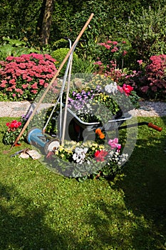 Wheelbarrow, grass mower, garden equipment