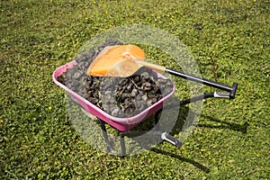 Wheelbarrow of horse dung