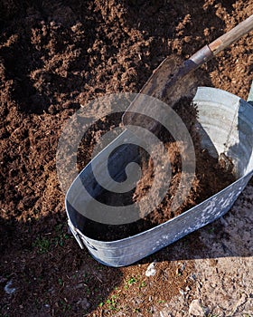 wheelbarrow with manure or chemical fertilizers to strengthen the soil of fertile layer on farm.