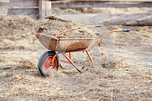 Wheelbarrow with manure and hay in the middle of the paddock
