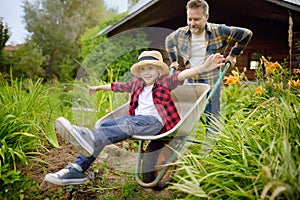 Wheelbarrow pushing by dad in domestic garden on warm sunny day. Active outdoors games for family with kids in the backyard