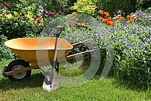 A wheelbarrow and shovel in the garden