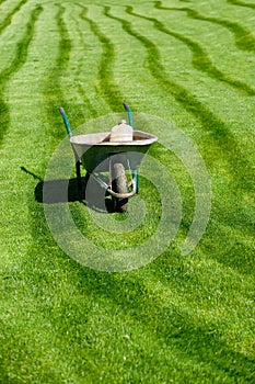 Wheelbarrow with some gardening equipment on a fresh cut green grass