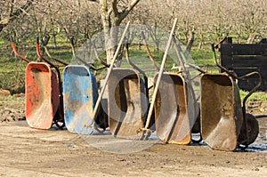 Wheelbarrows with dung forks