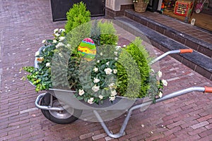 Wheelbarrows with flowers in the city