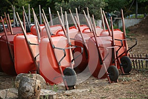 Wheelbarrows in garden