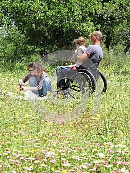 Wheelchair Picnic