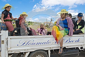Wheelchair transportation Tonga photo