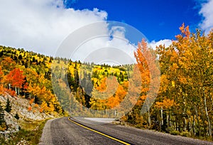 Wheeler Peak Scenic Drive