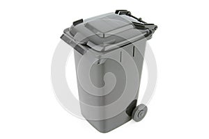 Wheelie bin