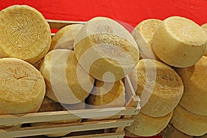 wheels of cheese called Caciotta in Italian language
