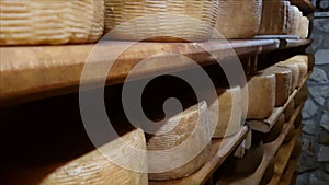 Wheels of cheese on the racks of a maturing cave