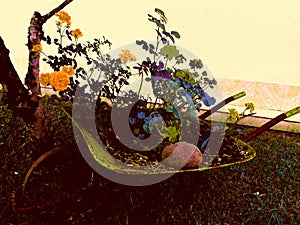 Wheels and flowers, with inversed colours, mobile mini garden