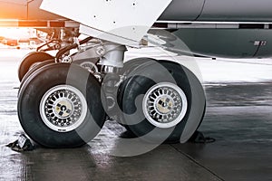 Wheels rubber tire rear landing gear racks, under wing view.