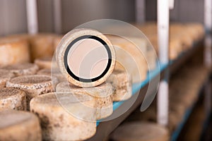 Wheels of sheep cheese on shelves in ripening room with copy space