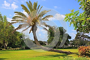 Where buried Baron Edmond de Rothschild, Israel