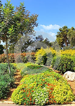 Where buried Baron Edmond de Rothschild, Israel photo