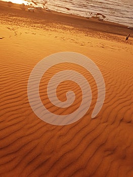 Where the desert meets the ocean sunet photo