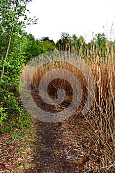 ??? Where does the path lead to ...???