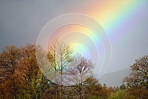 Where the rainbow rises photo