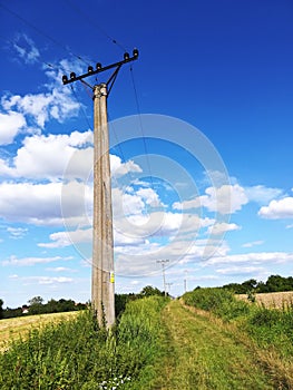 Where two worlds meet - Nature path and electric poles