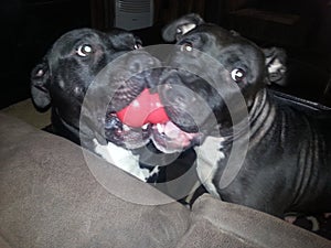 Where you go, I will go, Inseparable... photo