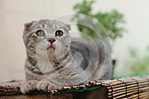 Where are you going?