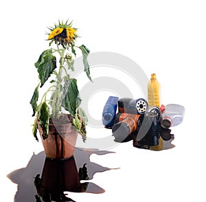 Where is your oil going?