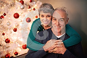 Wheres that mistletoe. Cropped portrait of a happy mature couple sitting in their home at Christmastime.