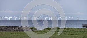 Wherry sailing in front of offshore wind farm on Oresund, from Dragor, Denmark