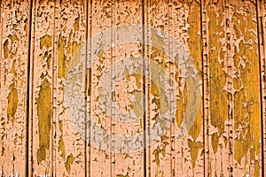 Whethered grungy brown wood planks background. pealing old cracked paint wood backdrop. photo