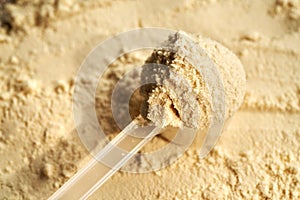 Whey protein powder in a measuring cup