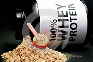 Whey Protein Powder in measuring scoop.