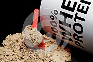 Whey Protein Powder in measuring scoop.