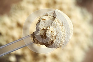Whey protein powder in a plastic measuring spoon