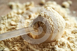 Whey protein powder in a plastic measuring spoon