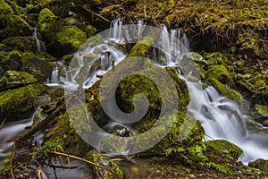 Whidbey Island waterfall